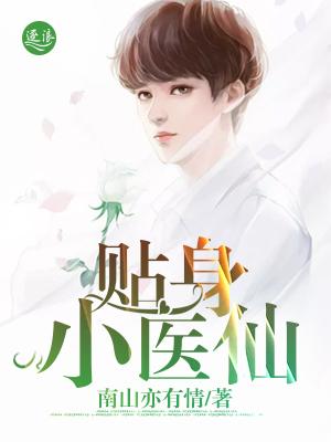 贴身医仙电视剧