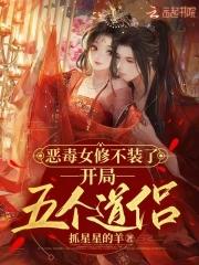 恶毒女修不装了开局五个道侣TXT